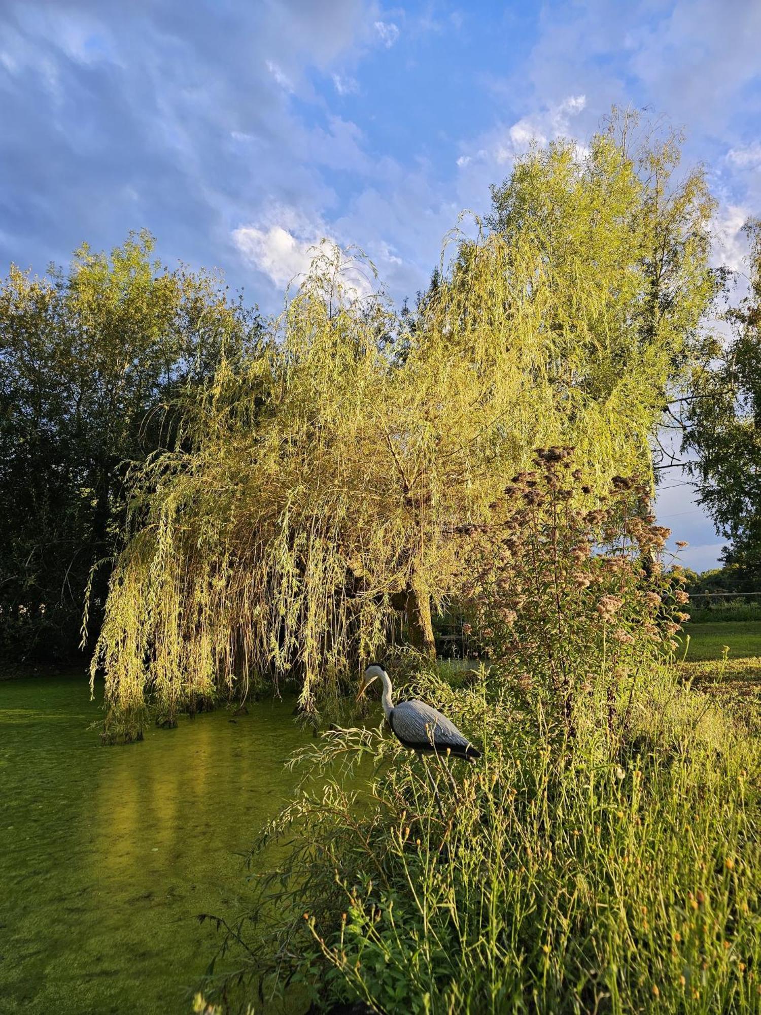 Le Nid De L'ecureuil * Selles-sur-Cher